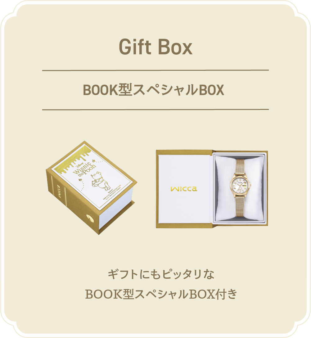 Back Design BOOK型限定BOX ギフトにもピッタリなBOOK型スペシャルBOX付き