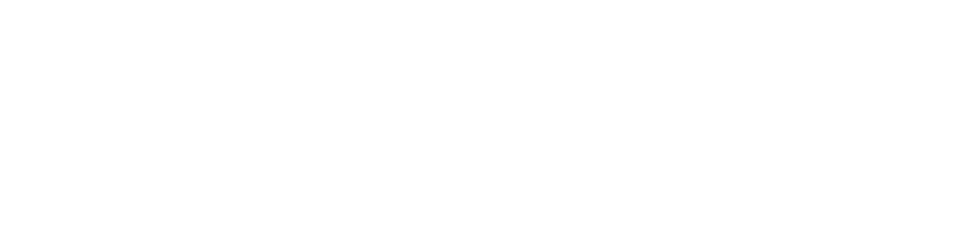 DESIGN POINT