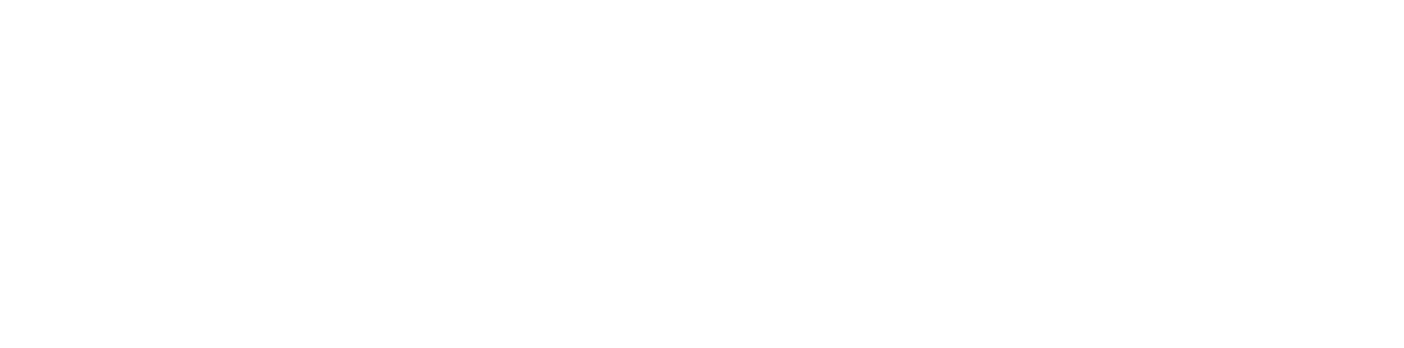 DESIGN POINT