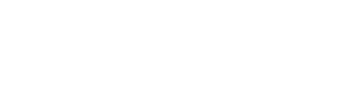 DESIGN POINT